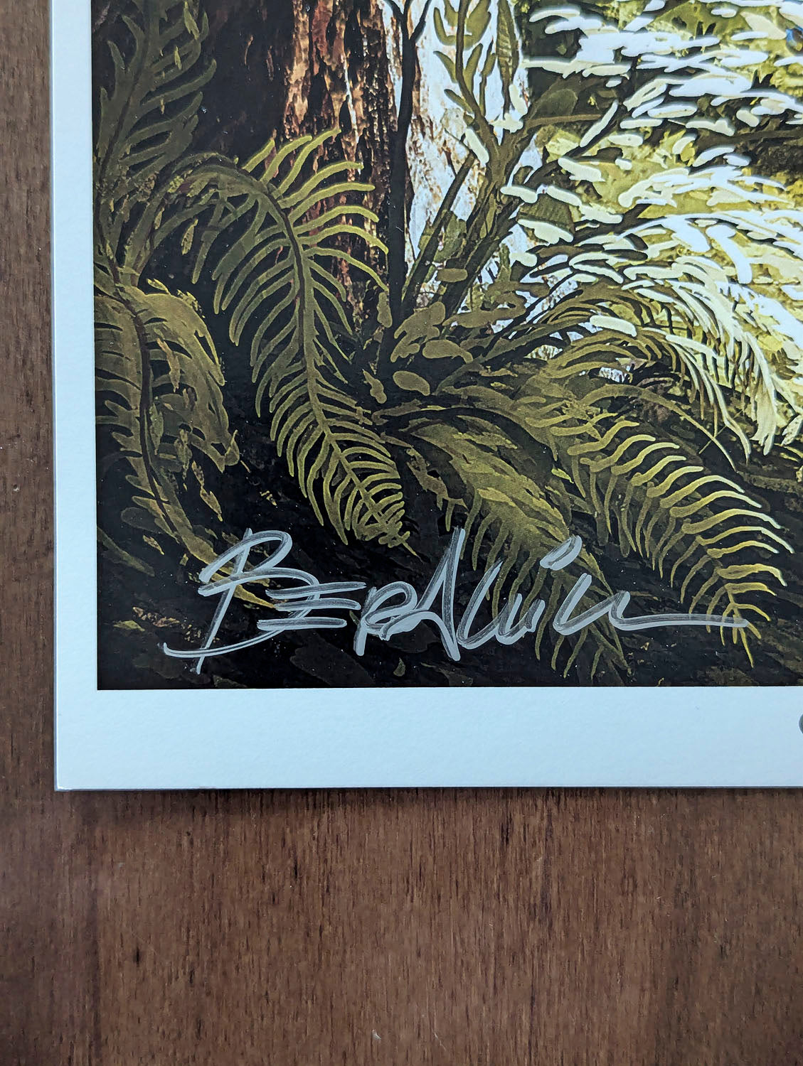 Bigfoot in Montana – Bergamin Art