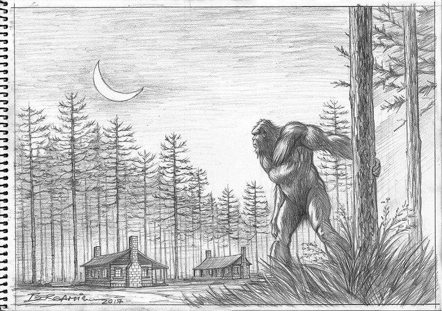 South-East Texas Bigfoot. Original Drawing